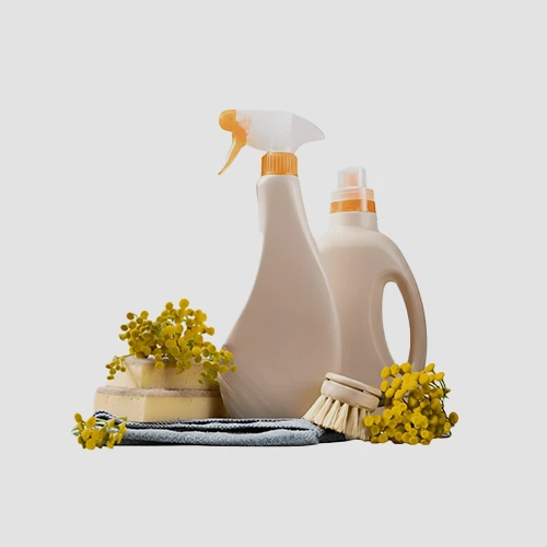 Health and Household